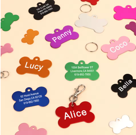 Medaglietta Personalizzabile per Cani e Gatti "FINDME"
