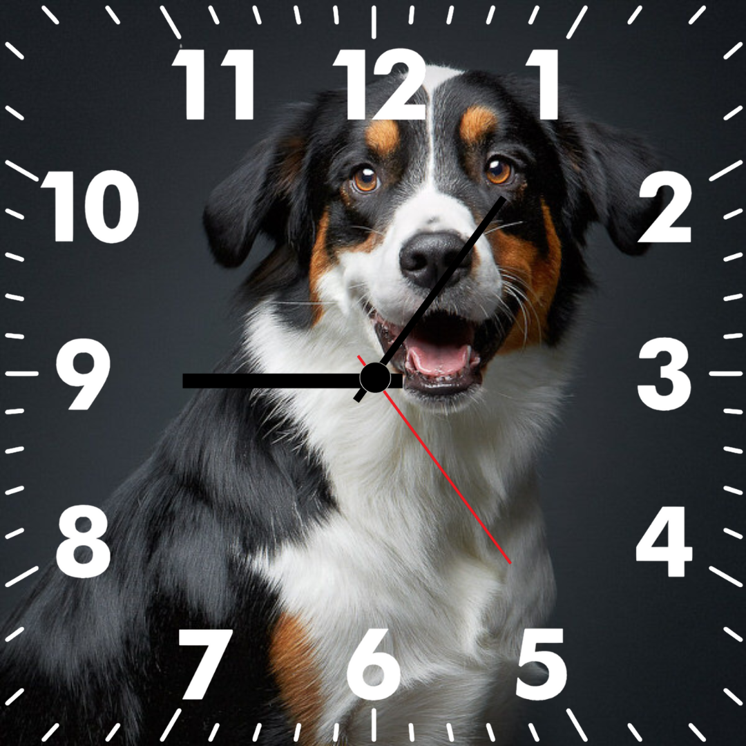 Orologio da Muro Personalizzabile "TIMEFRAME"