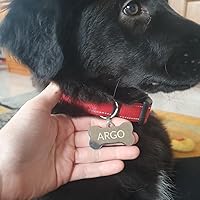 Medaglietta Personalizzabile per Cani e Gatti "FINDME"